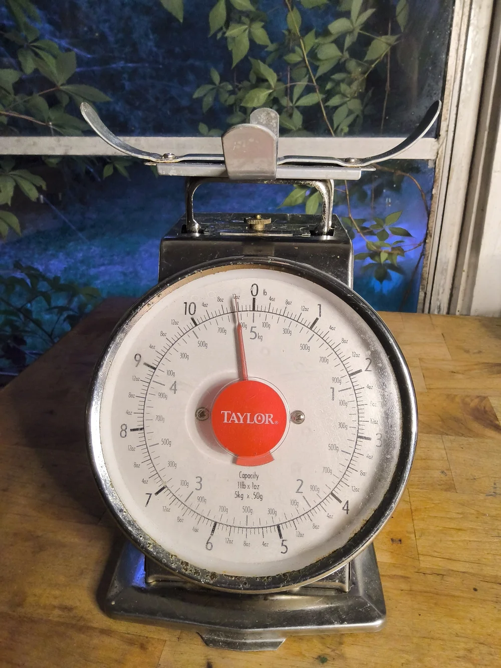 Taylor Vintage Stainless Kitchen Scale in White and Red